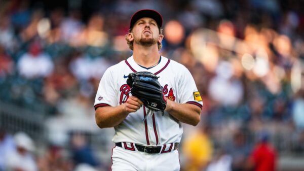 种未来更新 种未来更新