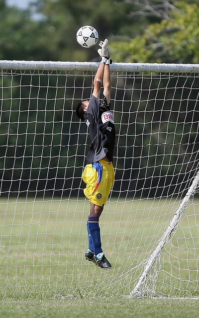 在日職聯盟 在日職聯盟